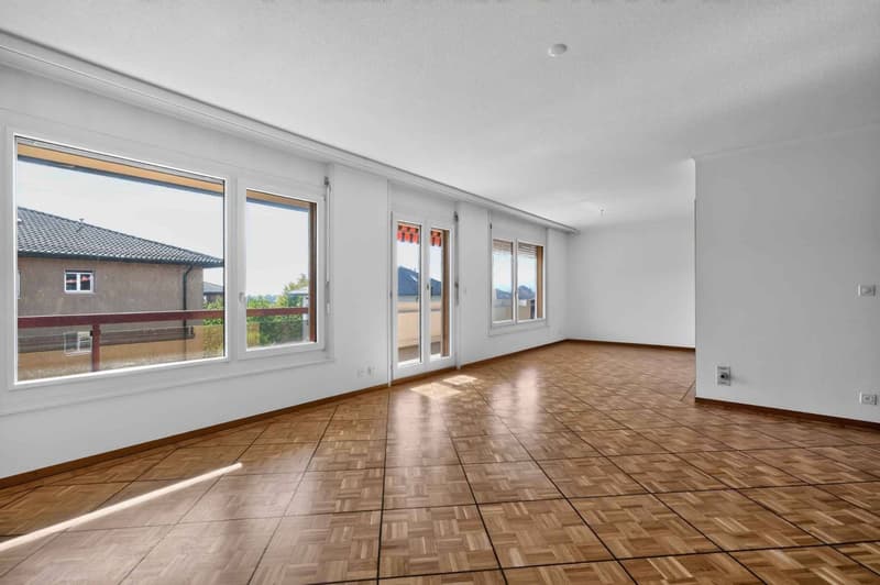 Spacieux 4,5 pièces avec terrasse (3)