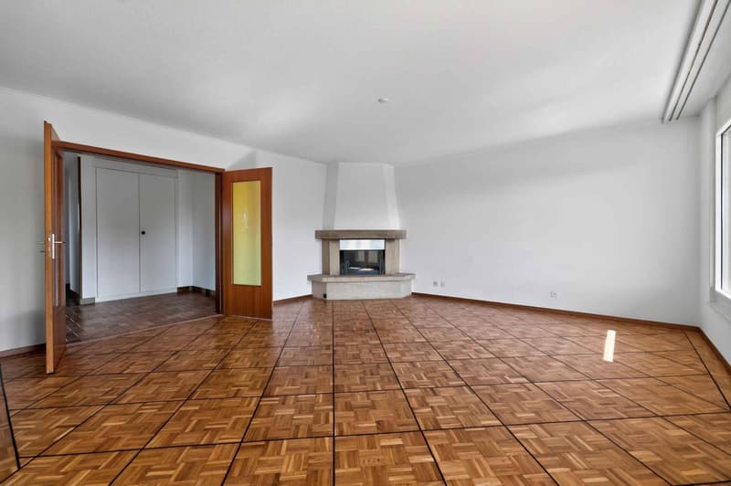 Spacieux 4,5 pièces avec terrasse (4)