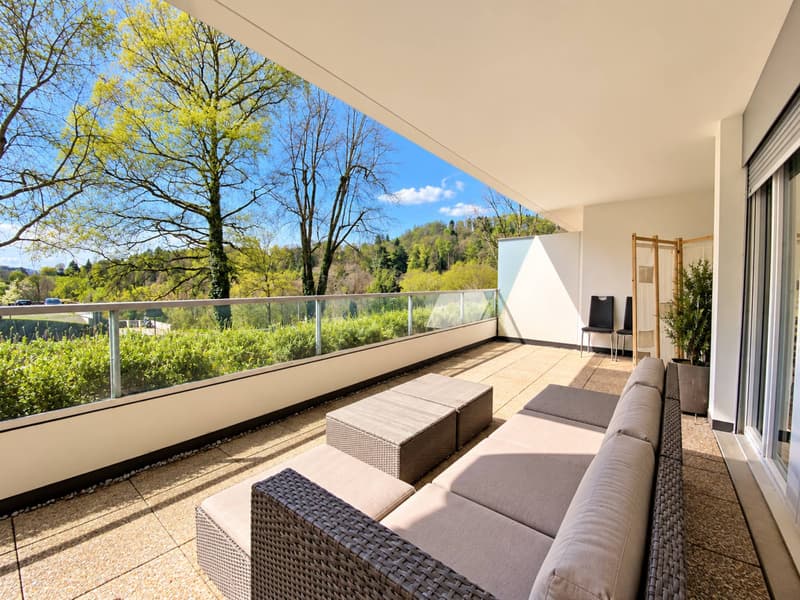 Spacieux studio avec terrasse (1)