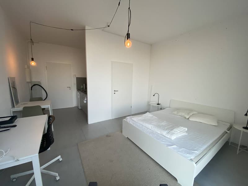 Charmant studio à 15 min du centre-ville de Lausanne (1)