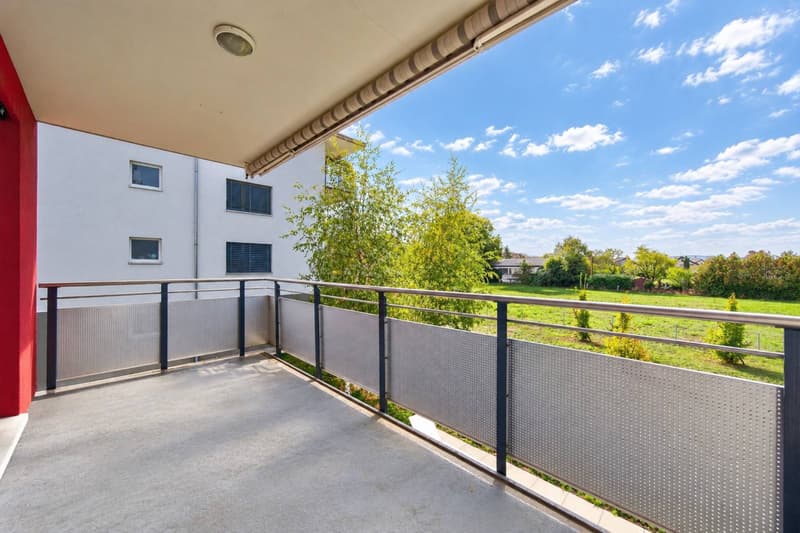 Superbe 4,5 pièces avec terrasse (2)
