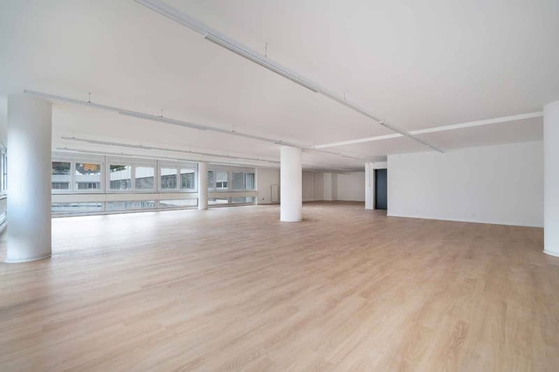 ideally located in the city center - magnificent area of 221 m2 (3)