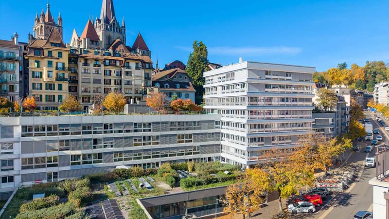ideally located in the city center - magnificent area of 221 m2 (2)