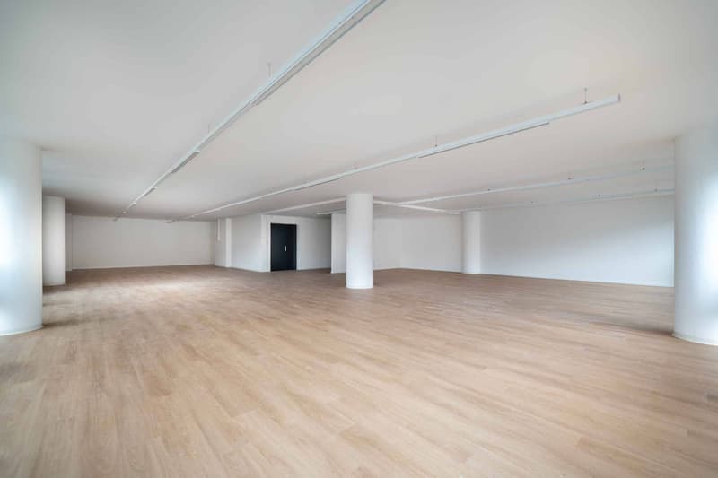 ideally located in the city center - magnificent area of 221 m2 (5)