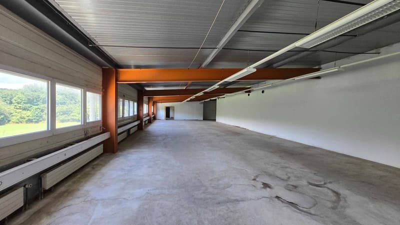 Fläche für Atelier-Showroom ideal in der Peripherie von Bussigny gelegen (2)