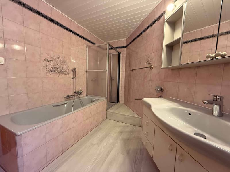Charmantes 3.5 Zimmer mit Seeblick (6)