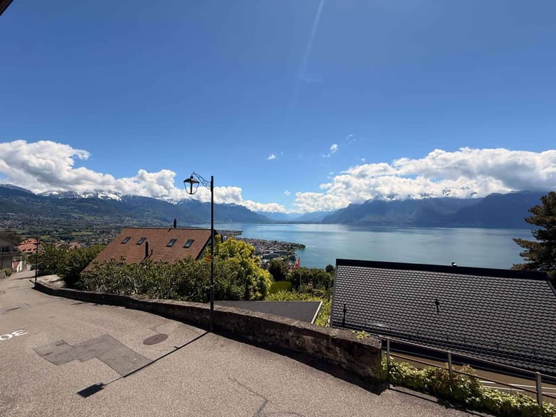 Charmantes 3.5 Zimmer mit Seeblick (1)
