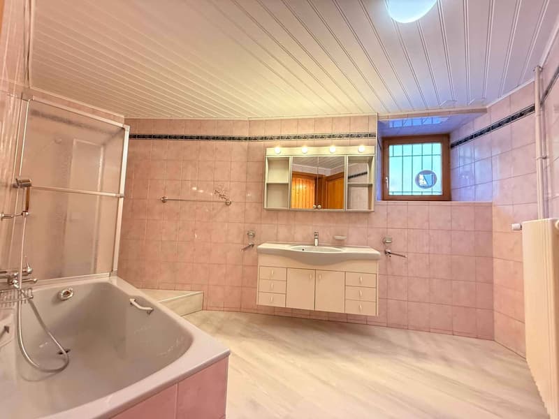 Charmantes 3.5 Zimmer mit Seeblick (7)