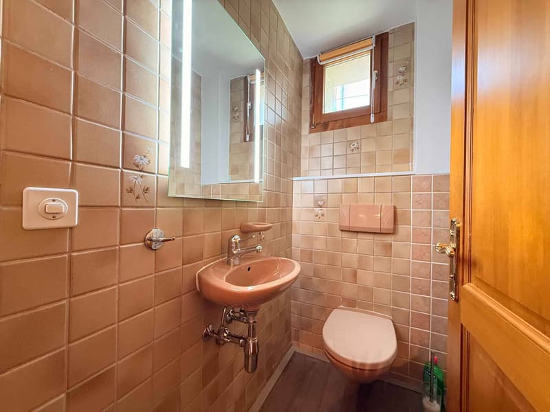 Charmantes 3.5 Zimmer mit Seeblick (8)