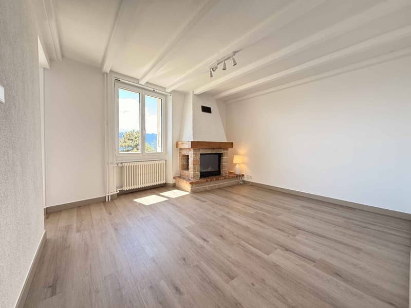 Charmantes 3.5 Zimmer mit Seeblick (2)