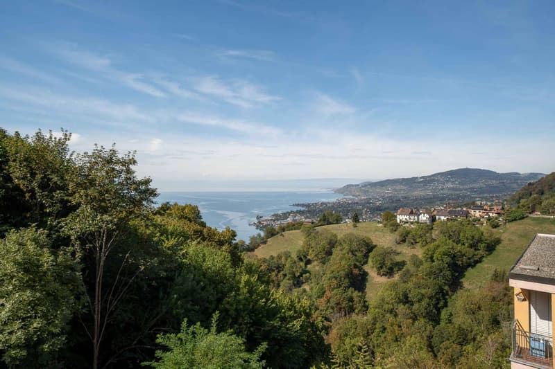 Lumineux studio meublé avec magnifique vue sur le lac (2)