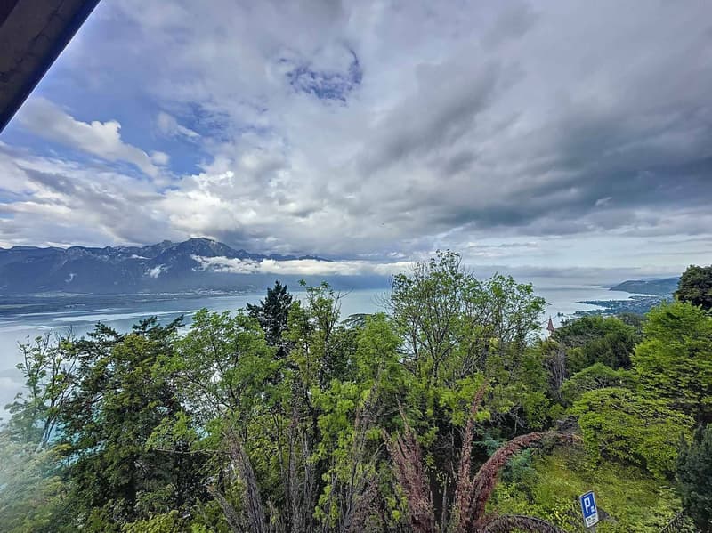 Charmant 2.5 pièces avec vue sur le lac (2)