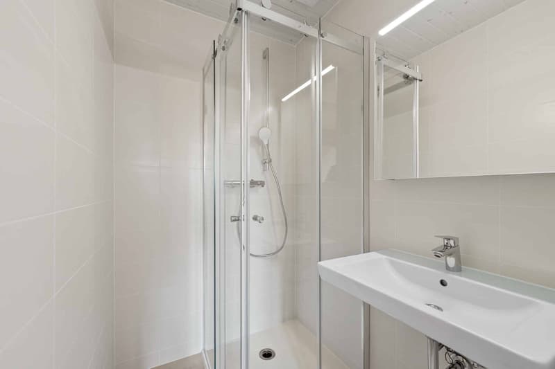 Villa mitoyenne de 5 pièces rénovée avec jardin Yens (9)