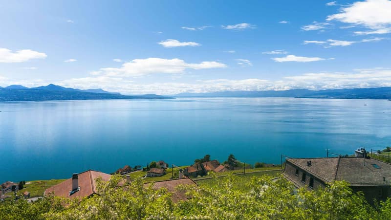 Elegante provenzalische Villa mit Pool und Panoramablick auf den Genfersee und die Alpen (4)