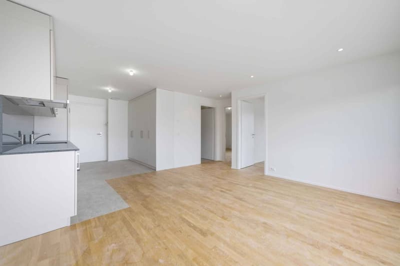 Schönes neues 3.5-Zimmer-Apartment mit Balkon (5)