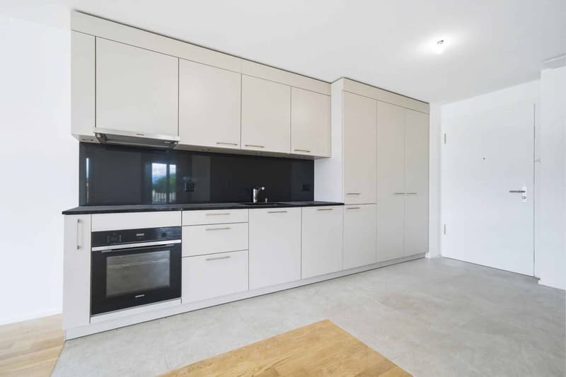 Schönes neues 3.5-Zimmer-Apartment mit Balkon (3)