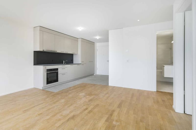 Schönes neues 3.5-Zimmer-Apartment mit Balkon (2)