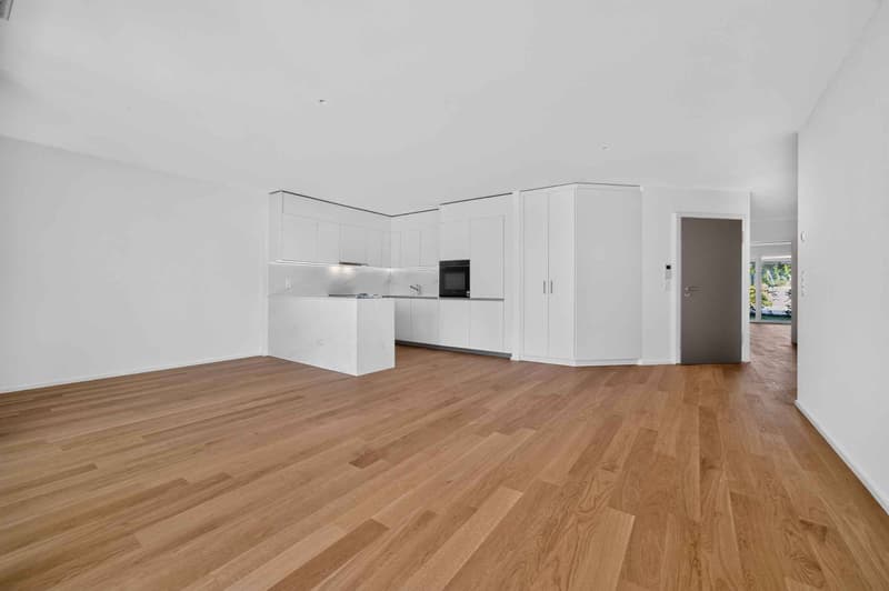 Eleganza contemporanea e giardino privato, a due passi dal lago (3)