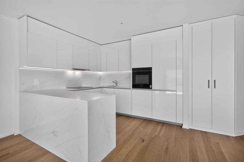 Eleganza contemporanea e giardino privato, a due passi dal lago (5)