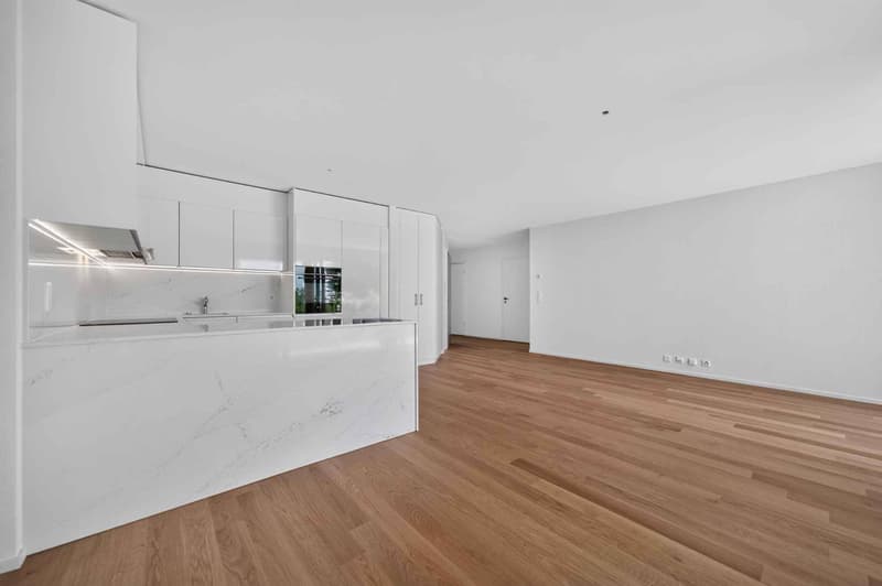 Eleganza contemporanea e giardino privato, a due passi dal lago (4)