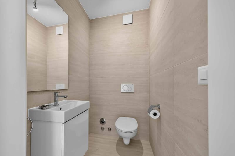Eleganza contemporanea e giardino privato, a due passi dal lago (13)