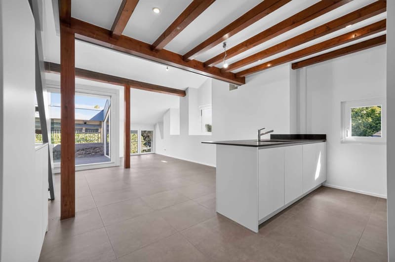 Magnifique duplex avec mezzanine et poutres apparentes (3)