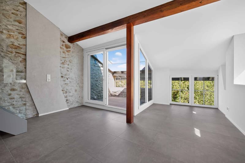 Magnifique duplex avec mezzanine et poutres apparentes (4)