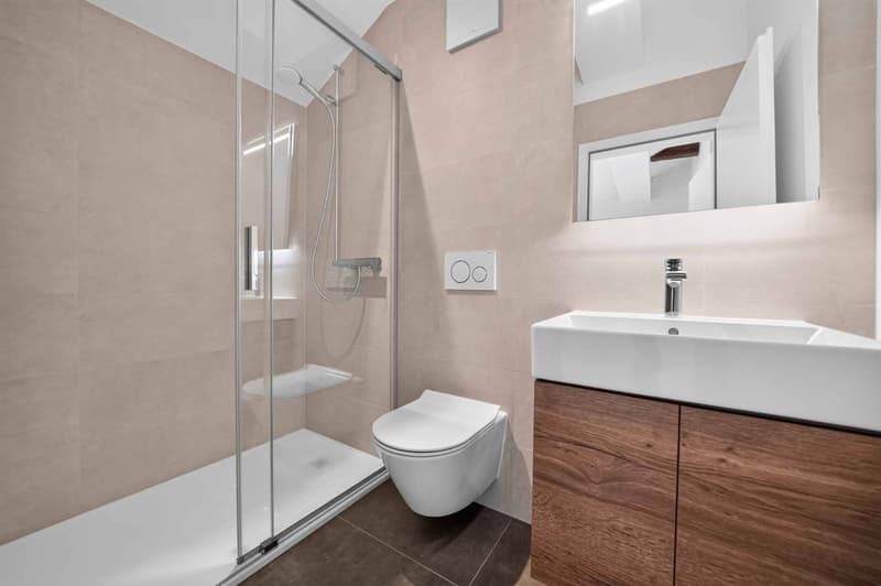 Magnifique duplex avec mezzanine et poutres apparentes (8)