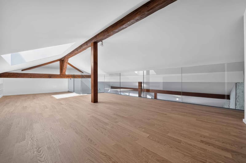 Duplex con charme e mezzanino (6)