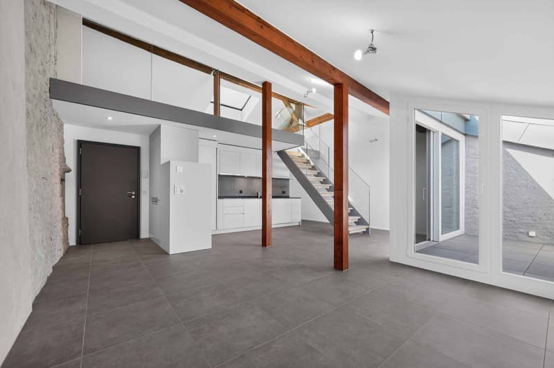 Duplex con charme e mezzanino (1)