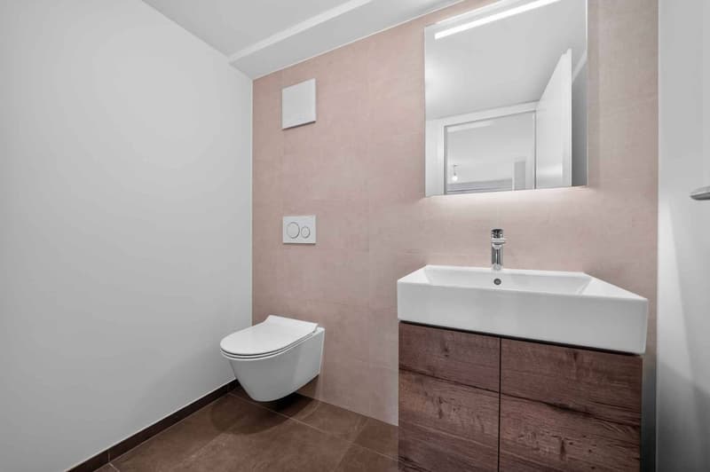 Ein Charakterappartement im Herzen eines charmanten Dorfes (12)