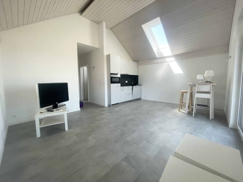 Appartement 2.5 pièces à Pampigny avec vue dégagée (2)