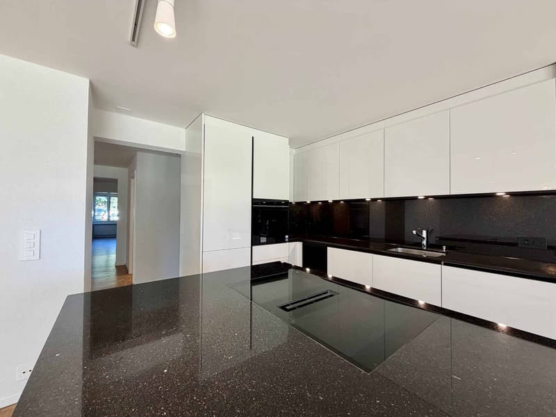 Spacieux appartement rénové de 5,5 pièces avec jardin (5)