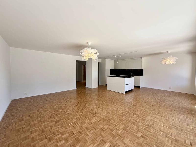 Spacieux appartement rénové de 5,5 pièces avec jardin (2)