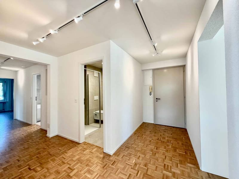 Spacieux appartement rénové de 5,5 pièces avec jardin (6)
