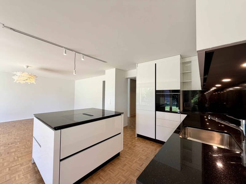 Spacieux appartement rénové de 5,5 pièces avec jardin (4)