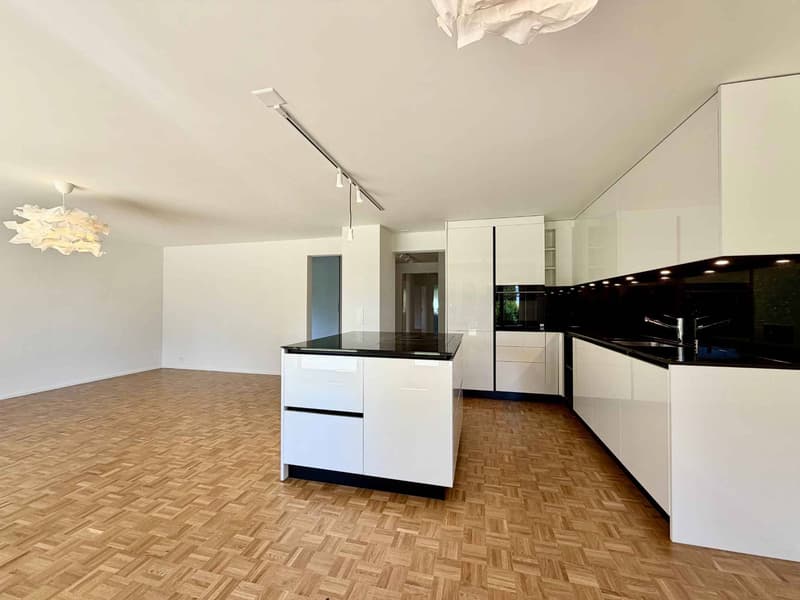 Spacieux appartement rénové de 5,5 pièces avec jardin (3)