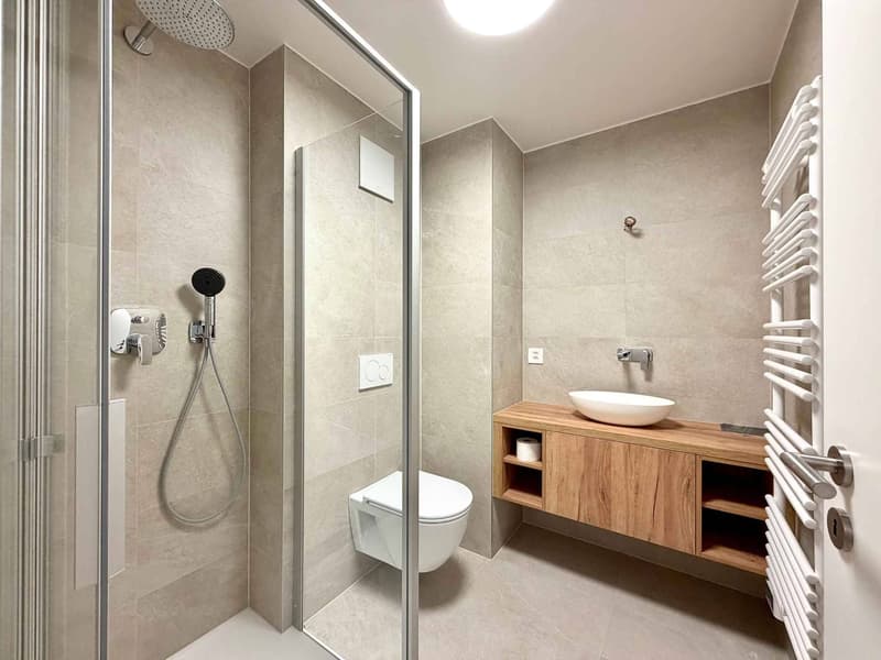 Spacieux appartement rénové de 5,5 pièces avec jardin (12)