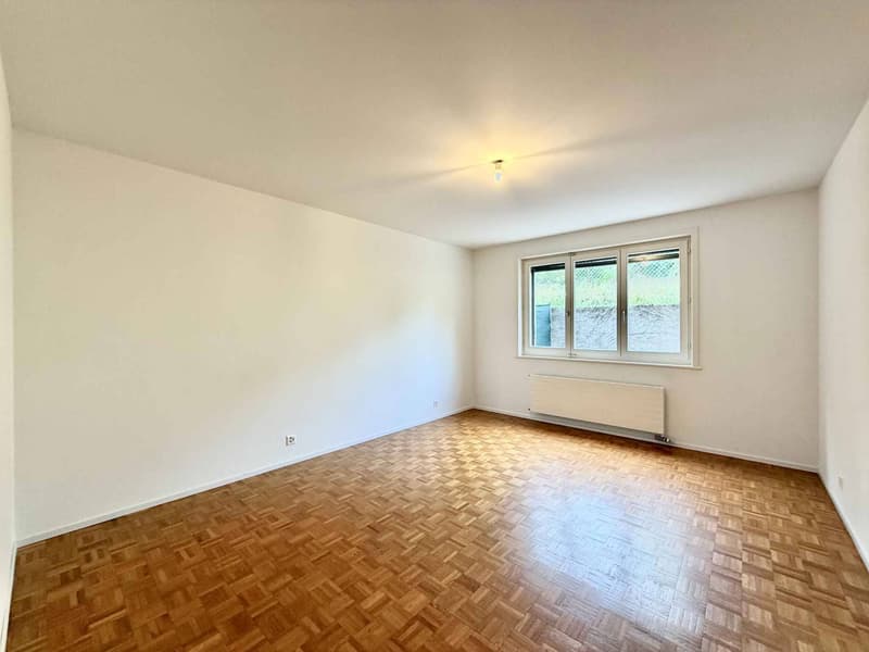 Appartement lumineux et rénové de 4,5 pièces avec terrasse (8)