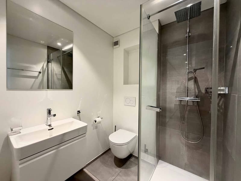 Appartement lumineux et rénové de 4,5 pièces avec terrasse (7)