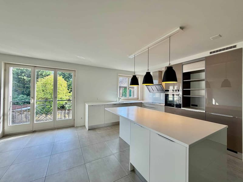Appartement lumineux et rénové de 4,5 pièces avec terrasse (1)