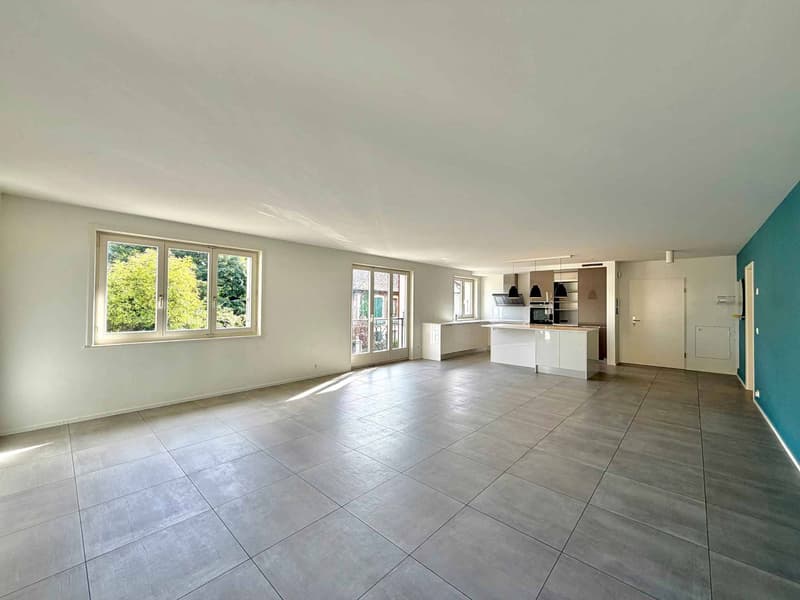 Appartement lumineux et rénové de 4,5 pièces avec terrasse (5)