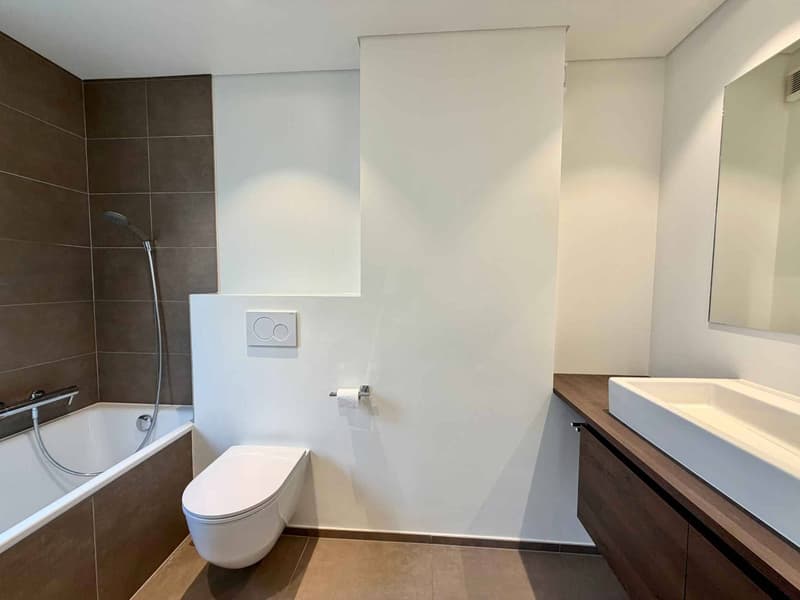 Appartement lumineux et rénové de 4,5 pièces avec terrasse (13)