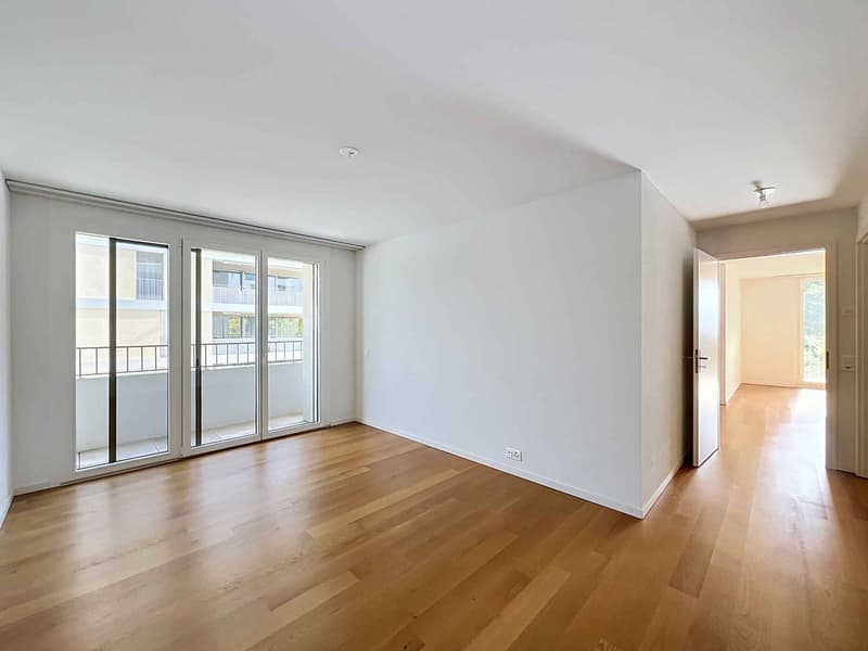 Spacieux 4.5 pièces dans un quartier où il fait bon vivre (5)