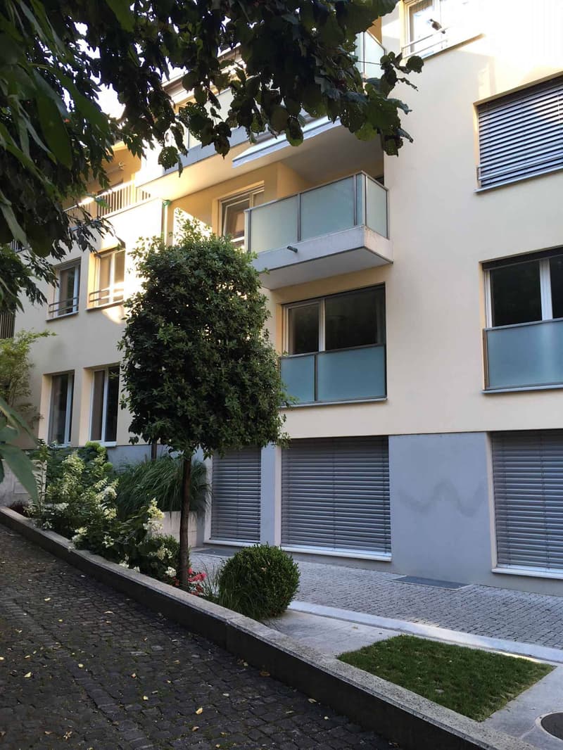 Schönes 4.5-Zimmer-Apartment im Erdgeschoss (9)