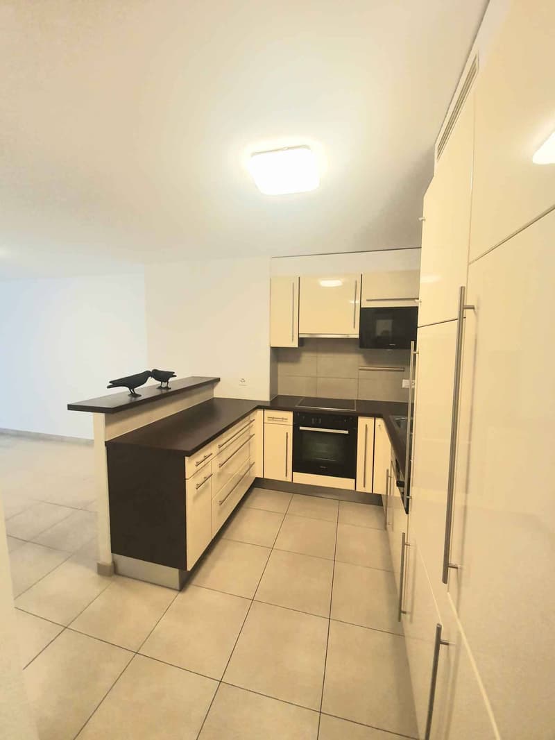 Schönes 4.5-Zimmer-Apartment im Erdgeschoss (3)