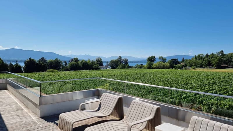 Luxurious property with pool and panoramic view of the lake (4)