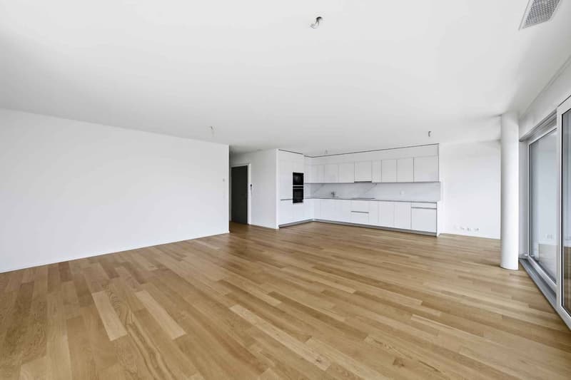 Magnifique appartement neuf de 4,5 pièces avec grand balcon et splendide vue! (2)