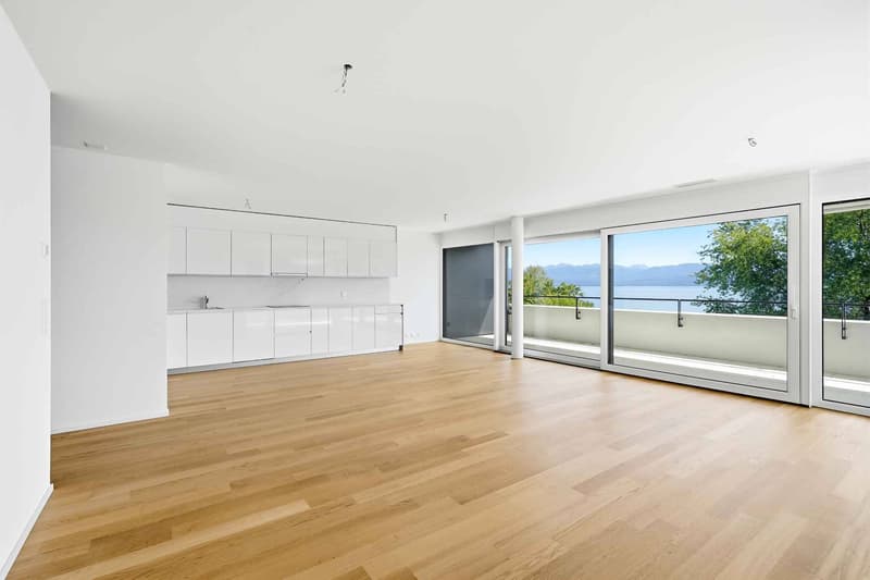 Magnifique appartement neuf de 4,5 pièces avec grand balcon et splendide vue! (5)