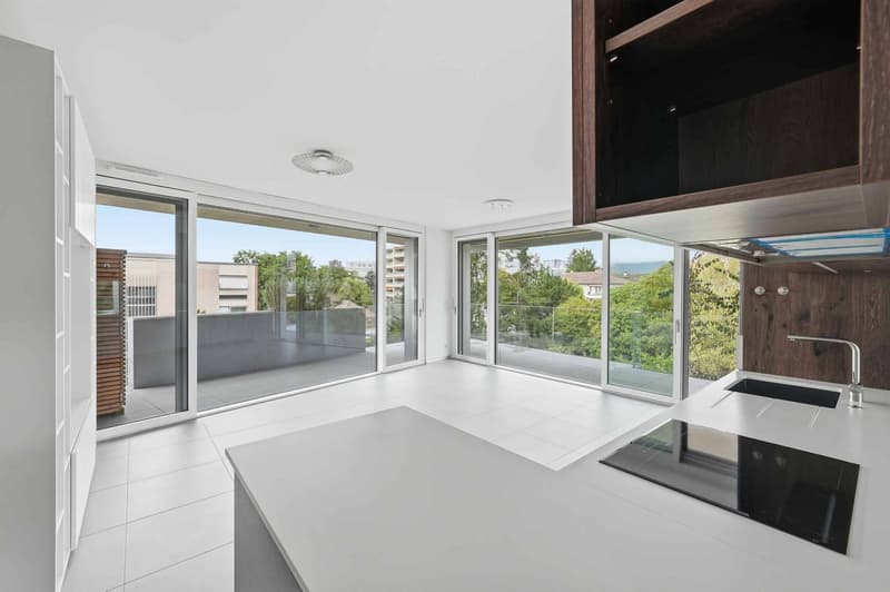 Attique de 2.5 pièces au cur du centre-ville (3)